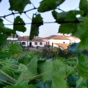  Casa vacanze Etna Italia